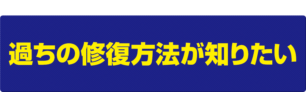 過ちの修復方法が知りたい